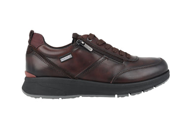 'Cordoba' men's sneaker - Brown - Chaplinshoes'Cordoba' men's sneaker - BrownPikolinos