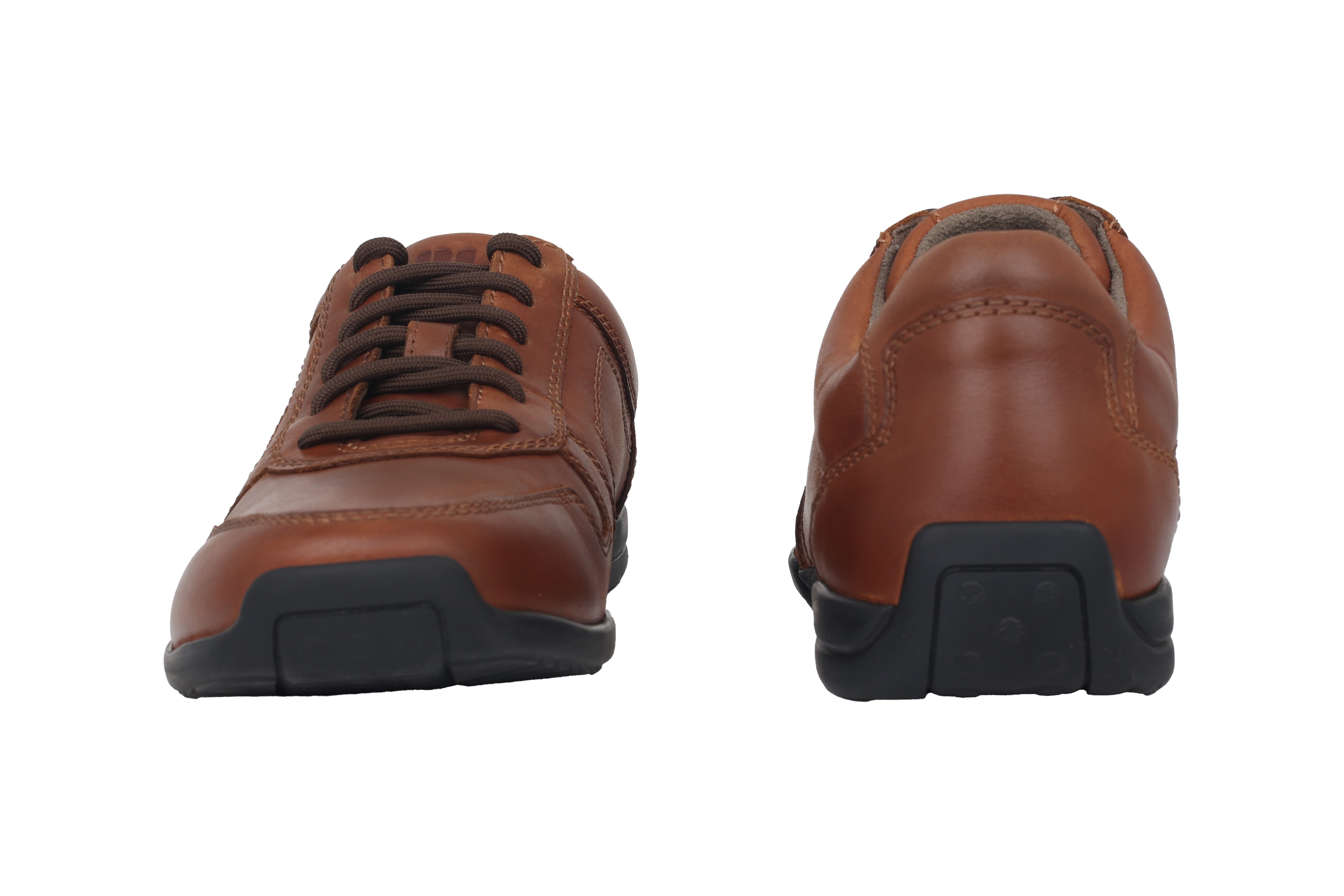 '1137.11.12' men's sneaker - brown