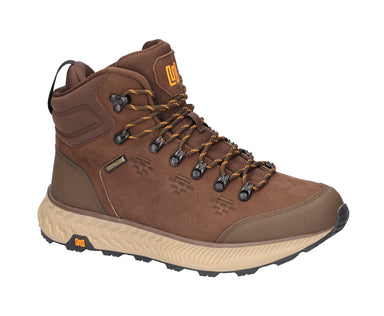 Chaplinshoes