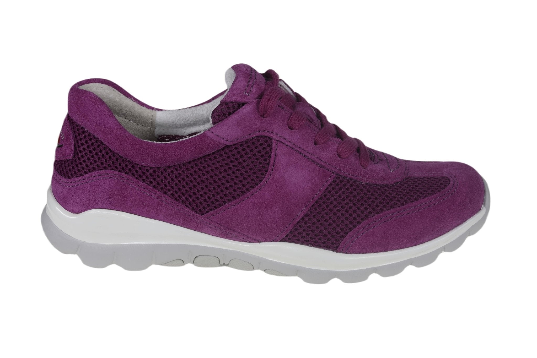 '46.966.49' women's walking sneaker - Purple - Chaplinshoes'46.966.49' women's walking sneaker - PurpleGabor